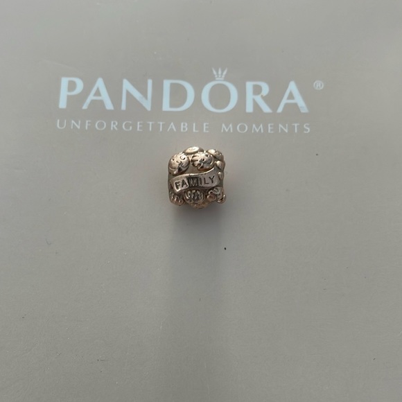 Pandora 14k rose gold plated Love & Family, charm - Picture 1 of 4
